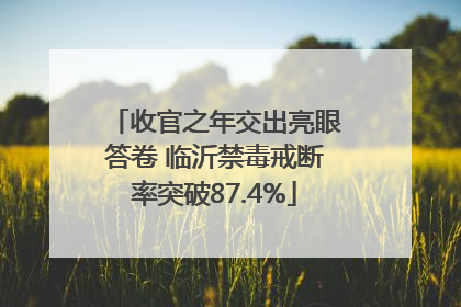 收官之年交出亮眼答卷 临沂禁毒戒断率突破87.4%